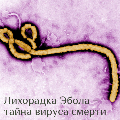 «Лихорадка Эбола — тайна вируса смерти»