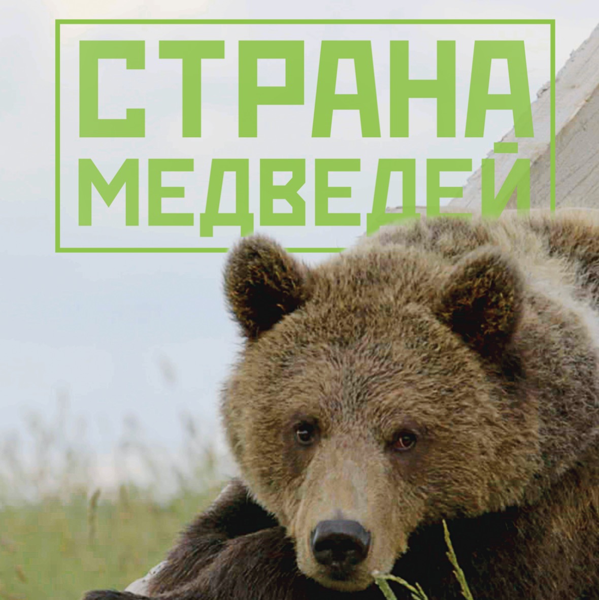 Страна медведей